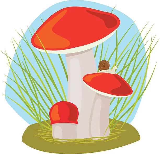 Vector illustration of Forest mushroom with grass and snail
