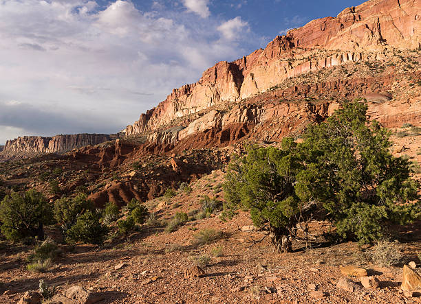 istock Capital Reef National Park in Spring 586721528