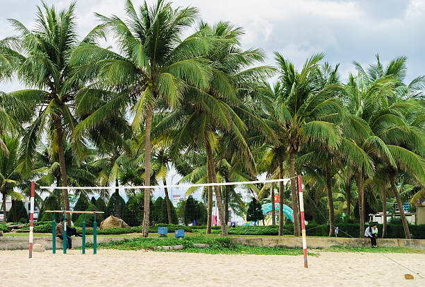 rete per giocare a pallavolo alla china beach di danang - nuoc foto e immagini stock