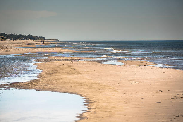 istock Sandy beach in Leba town, Baltic Sea, Poland 586723544
