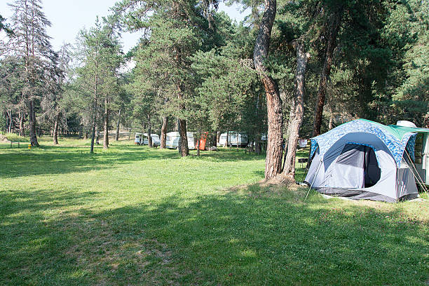 istock Camping tent in the nature. 586724536