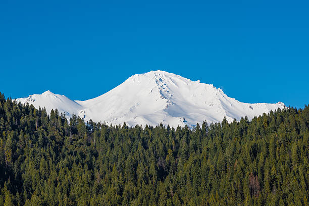 widok na szczyty góry shasta z alpejskim lasem - north cascades national park northern cascade range reservoir mountain zdjęcia i obrazy z banku zdjęć