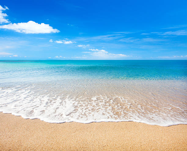 istock beach and tropical sea 586725156