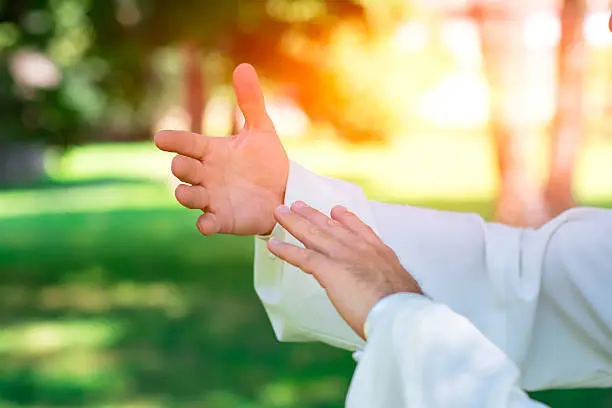 practice of Tai Chi Chuan in the park. Detail of hand positions