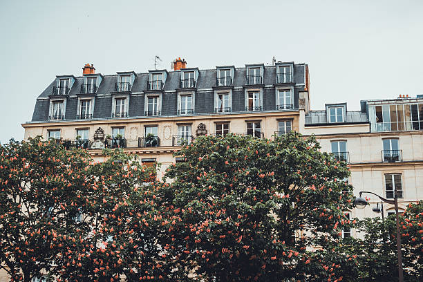 istock Old apartment with stacked dormer windows 586729202