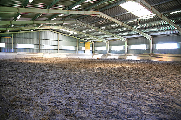 istock View an indoor riding arena backlight 586729576