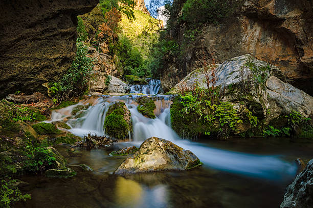 cascades d’akchour, montagnes du rif, maroc - waterfall rapid landscape woods photos et images de collection