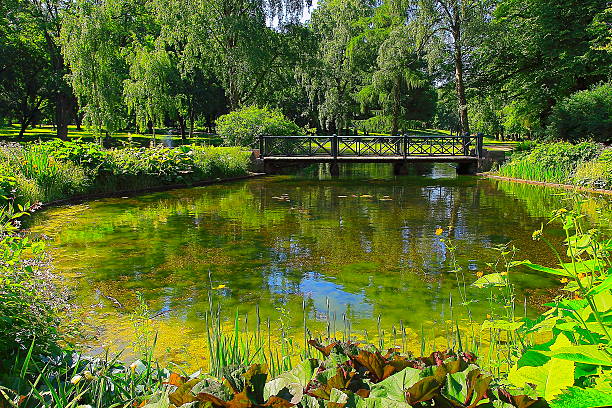 idilliaco parco norvegese, ponte, paesaggio di riflessione del lago, oslo, norvegia, scandinavia - sunrise leaf brightly lit vibrant color foto e immagini stock