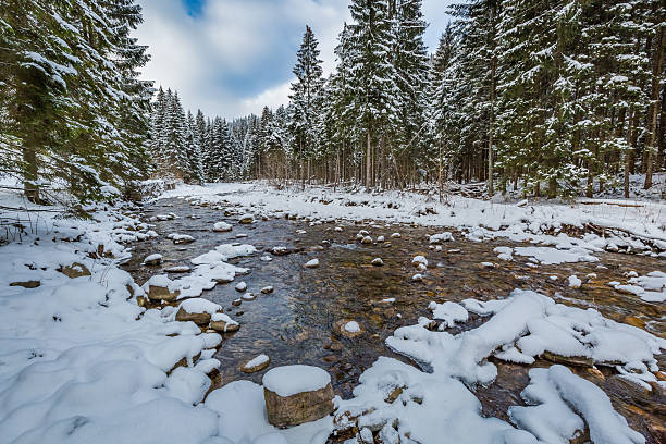 istock Mountain stream in winter, Tatra Mountains, Poland 586736006