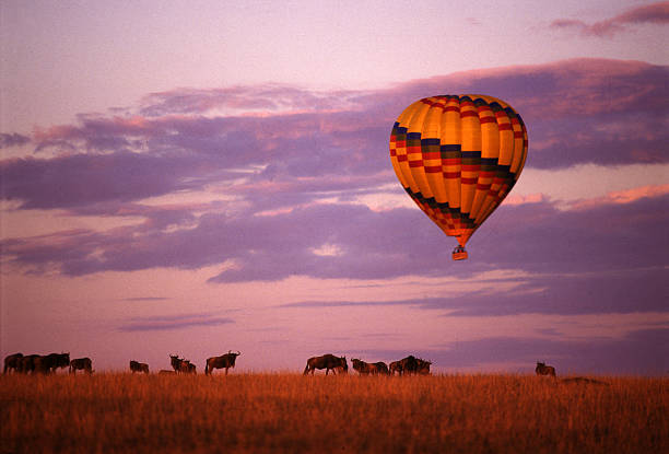 mongolfiera che sorvola la migrazione delle gnu, masai mara game reserve, kenya - masai mara foto e immagini stock