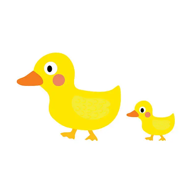 Vector illustration of Duck and little duck animal cartoon character vector illustration.