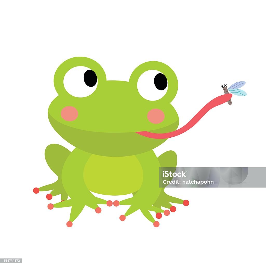 Ếch Ăn Ruồi Động Vật Hoạt Hình Nhân Vật Vector Minh Họa Hình minh ...