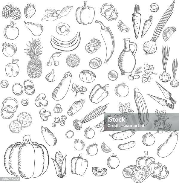 Frisch Skizziertes Obst Und Gemüsesymbol Stock Vektor Art und mehr Bilder von Obst - Obst, Gemüse, Scharfe Schoten