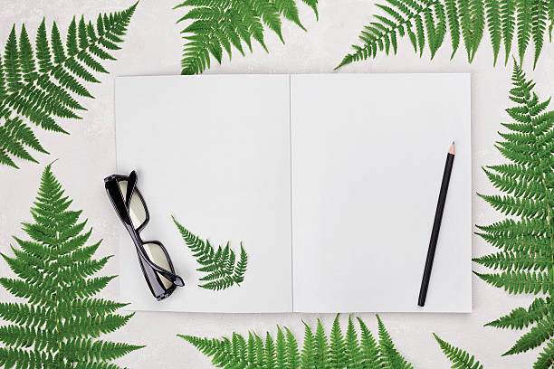 istock Office desk with fern leaves, notebook. Top view. Flat lay. 586748434