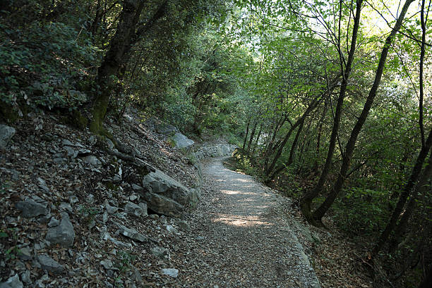 istock Path from 