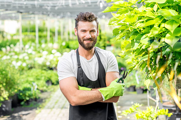 istock Portrait of handsome gardener 586921716