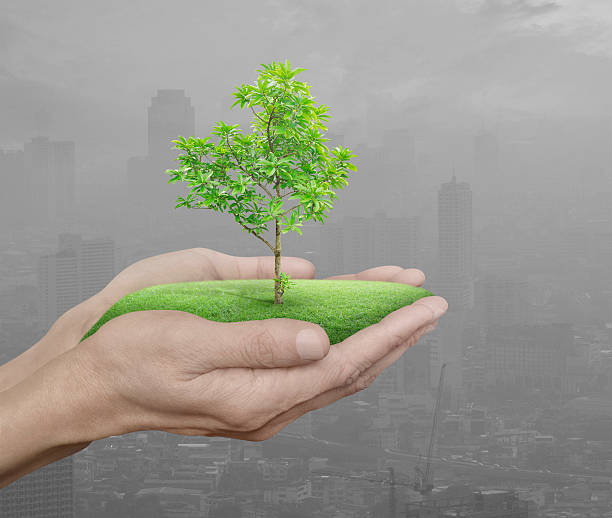 istock Growing green tree in hands over pollution city, Environment concept 586922054