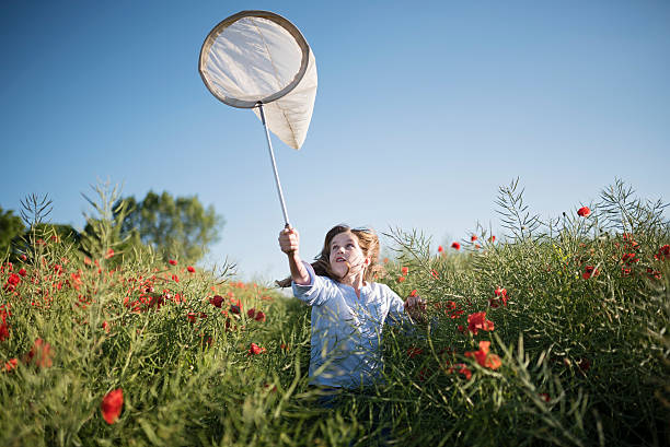 niña corriendo por el campo de amapolas un atrapar insectos - poppy flower field red fotografías e imágenes de stock