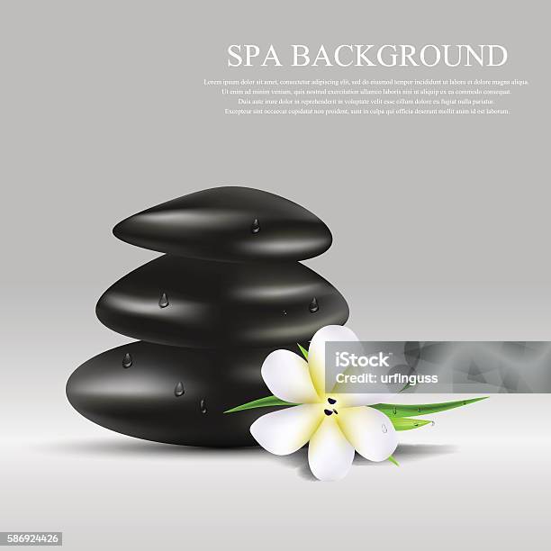 Vector Realistic Illustration Stock Illustration - Download Image Now - Aromatherapy, Balance, Bamboo - Plant