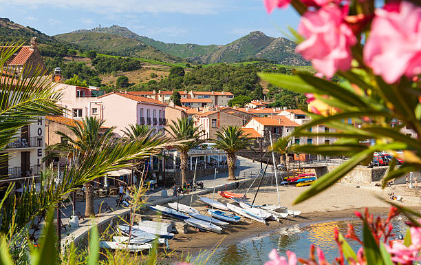 collioure, francia  - single flower sailboat harbor pier foto e immagini stock