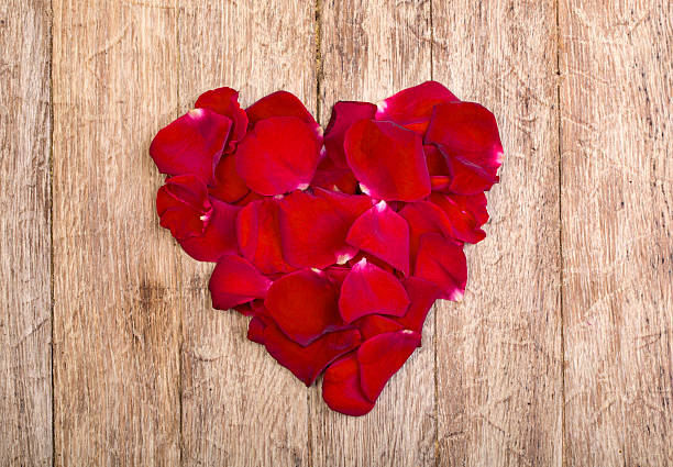 istock Heart made of red petals 586934536