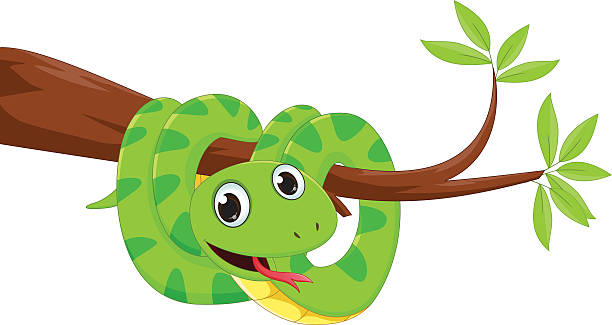 illustrations, cliparts, dessins animés et icônes de drôle de serpent sur une branche d’arbre - green tree python