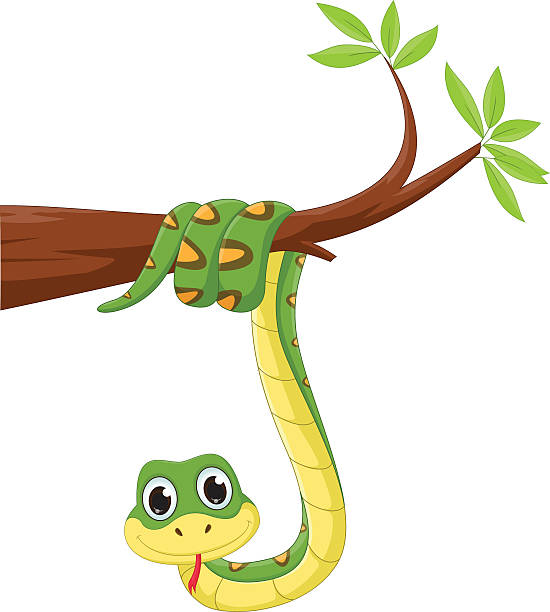 illustrations, cliparts, dessins animés et icônes de drôle de serpent sur une branche d’arbre - green tree python