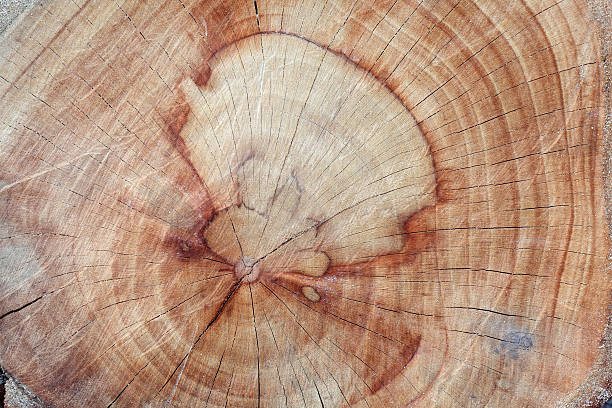 istock grunge wooden background. 586939668
