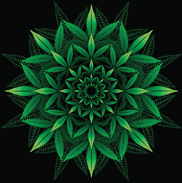 ilustraciones, imágenes clip art, dibujos animados e iconos de stock de patrón redondo de hoja de cannabis sobre negro - planta de cannabis