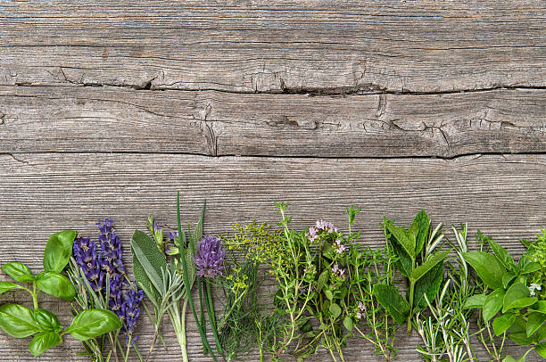 istock Fresh herbs Basil rosemary sage thyme mint dill savory lavender 586941976