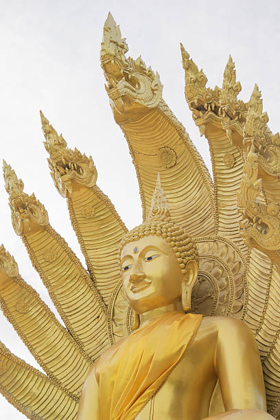 istock Buddha statue with nine headed serpent,Thailand temple 586942484