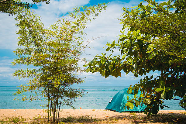 istock Camping Tent on Beach. Concept tourism, active rest, vacation Malaysia 586944986