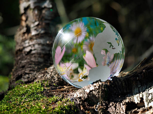 istock Many flowers and blue sky reflected in a transparent bowl 586945304