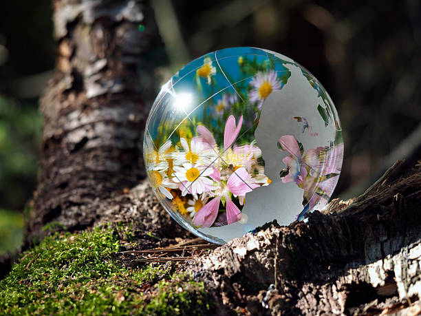 istock Many flowers and blue sky reflected in a transparent bowl 586945400