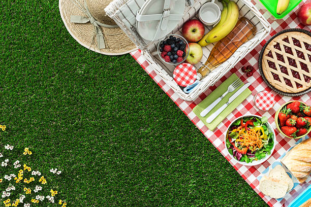 Picnic at the park Picnic at the park on the grass: tablecloth, basket, healthy food and accessories, top view pick nick stock pictures, royalty-free photos & images