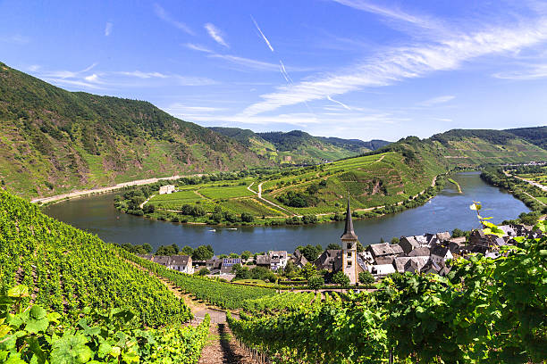 View of Bremm at the Mosel with Moselschleife View of Bremm at the Mosel with Moselschleife rhineland palatinate photos stock pictures, royalty-free photos & images