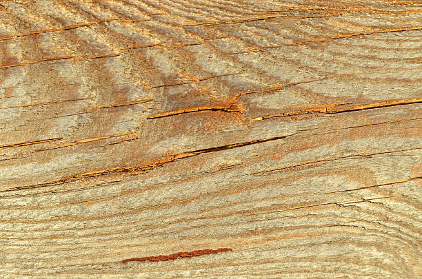 istock Wooden textured background 586946240