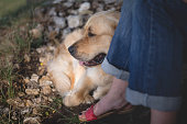 hund-ist-der-beste-freund-des-menschen.jpg?b=1&s=170x170&k=20&c=4DGCrv3xvTf5mp1QGkJcOVE7NyBMVcQWQICUggj_D3E=