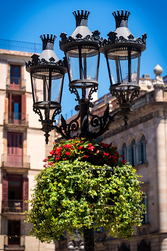 Historic looking lamp post in Barcelona with colorful plants and vnes.
