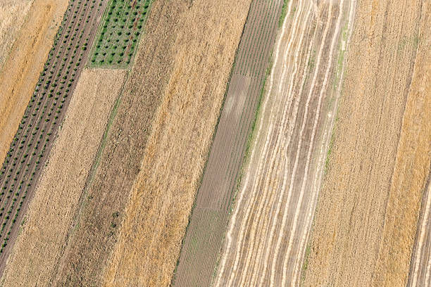 istock Aerial view of field 586947312