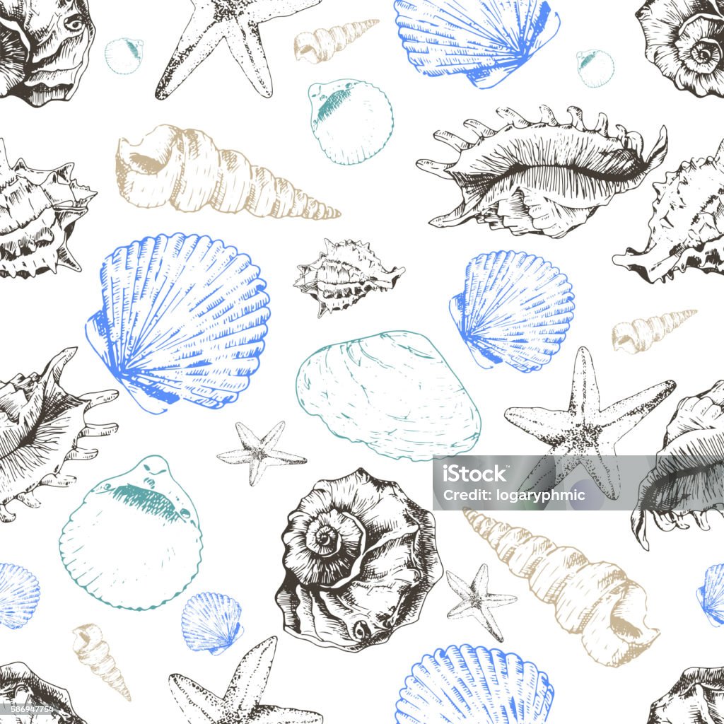 Motif vectoriel sans couture de coquillages colorés. Dessiné à la main - clipart vectoriel de Coquille et coquillage libre de droits