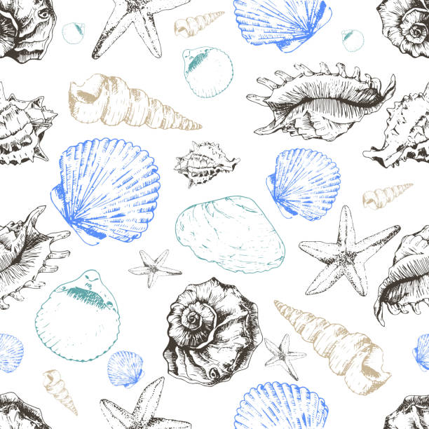 illustrations, cliparts, dessins animés et icônes de motif vectoriel sans couture de coquillages colorés. dessiné à la main - vacations nature shell snail