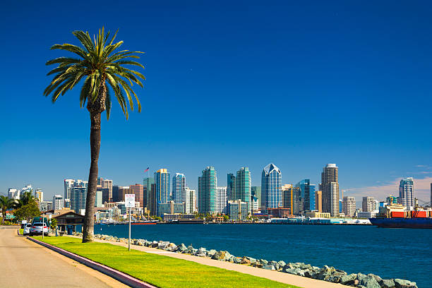 San Diego skyline with Palm Tree, Bay, and Blue Sky Downtown San Diego skyline view with the San Diego Bay, a waterfront walkway, and a palm tree in the foreground, and a nearly clear deep blue sky in the background. san diego stock pictures, royalty-free photos & images