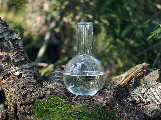 istock Clear water in the retort. Forest moss. Reflection 587183742