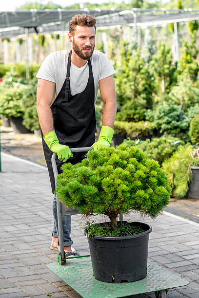 istock Delivery in the flowers shop 587184632