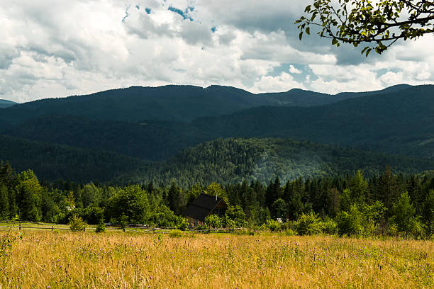 istock Beautiful mountains landscape in Carpathian 587185848