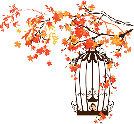 bird cage among autumn tree branches - fall season vector design