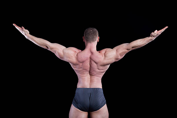 남성 남자 보디 - chest sweat male pectoral muscle 뉴스 사진 이미지