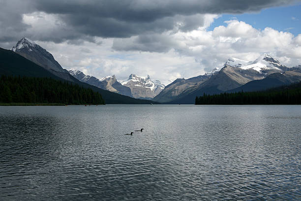 istock Maligne Lake with two loons 587188738