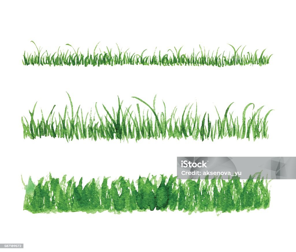 Hand drawn watercolor grass set Hand drawn watercolor grass set isolated on white background. Sketch green-fodder. Grass in the sun. Green grass pattern. Abstract herb. Summer juicy thick grass collection. Spring fresh grass kit. Grass stock vector